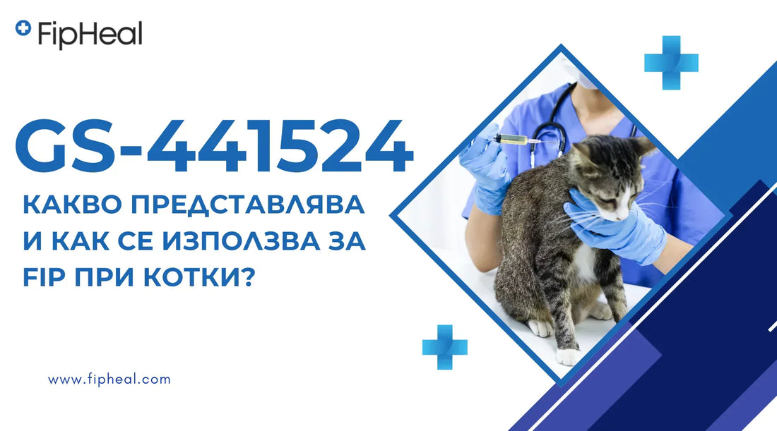 GS-441524 за лечение на фип при котките