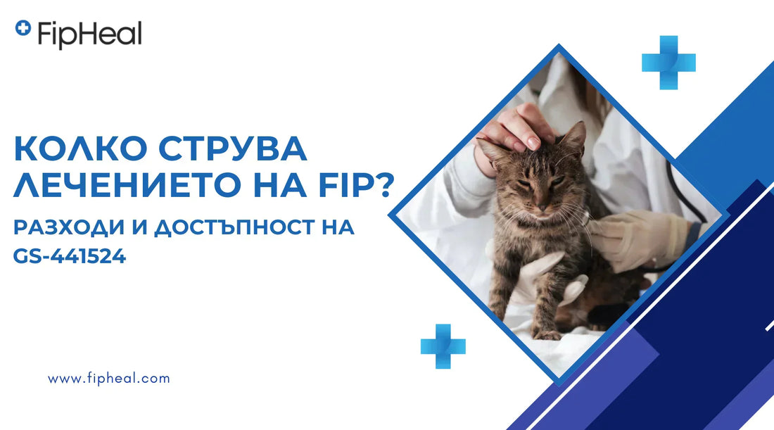 цена за лечение на фип с GS-441524