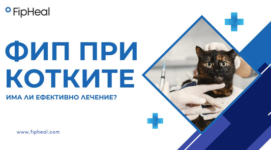 лечения на котки с инфекциозен перитонит (fip)